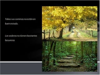 Proyecto tecnologia y comunidad