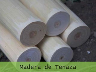 Madera de Tenaza
 