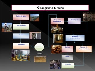 Diagrama técnico 
Mosto 
 