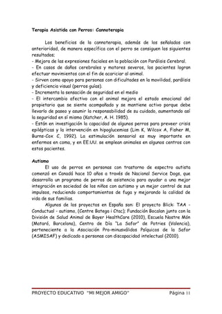 Terapia Asistida con Perros: Cannoterapia
Los beneficios de la cannoterapia, además de los señalados con
anterioridad, de manera específica con el perro se consiguen los siguientes
resultados;
- Mejora de las expresiones faciales en la población con Parálisis Cerebral.
- En casos de daños cerebrales y motores severos, los pacientes logran
efectuar movimientos con el fin de acariciar al animal.
- Sirven como apoyo para personas con dificultades en la movilidad, parálisis
y deficiencia visual (perros guías).
- Incrementa la sensación de seguridad en el medio
- El intercambio afectivo con el animal mejora el estado emocional del
propietario que se siente acompañado y se mantiene activo porque debe
llevarlo de paseo y asumir la responsabilidad de su cuidado, aumentando así
la seguridad en sí mismo (Katcher, A. H. 1985).
- Están en investigación la capacidad de algunos perros para preveer crisis
epilépticas y la intervención en hipoglucemias (Lim K, Wilcox A, Fisher M,
Burns-Cox C, 1992). La estimulación sensorial es muy importante en
enfermos en coma, y en EE.UU. se emplean animales en algunos centros con
estos pacientes.
Autismo
El uso de perros en personas con trastorno de espectro autista
comenzó en Canadá hace 10 años a través de Nacional Service Dogs, que
desarrolla un programa de perros de asistencia para ayudar a una mejor
integración en sociedad de los niños con autismo y un mejor control de sus
impulsos, reduciendo comportamientos de fuga y mejorando la calidad de
vida de sus familias.
Algunos de los proyectos en España son: El proyecto Blick: TAA -
Conductual - autismo, (Centre Batega i Ctac); Fundación Bocalan junto con la
División de Salud Animal de Bayer HealthCare (2010), Escuela Nostre Món
(Mataró, Barcelona), Centro de Día “La Safor” de Potries (Valencia),
perteneciente a la Asociación Pro-minusválidos Psíquicos de la Safor
(ASMISAF) y dedicado a personas con discapacidad intelectual (2010).
PROYECTO EDUCATIVO “MI MEJOR AMIGO” Página 11
 