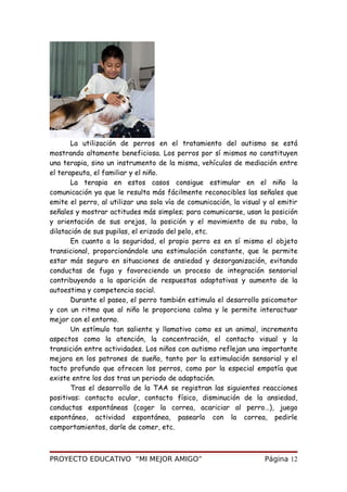 La utilización de perros en el tratamiento del autismo se está
mostrando altamente beneficiosa. Los perros por sí mismos no constituyen
una terapia, sino un instrumento de la misma, vehículos de mediación entre
el terapeuta, el familiar y el niño.
La terapia en estos casos consigue estimular en el niño la
comunicación ya que le resulta más fácilmente reconocibles las señales que
emite el perro, al utilizar una sola vía de comunicación, la visual y al emitir
señales y mostrar actitudes más simples; para comunicarse, usan la posición
y orientación de sus orejas, la posición y el movimiento de su rabo, la
dilatación de sus pupilas, el erizado del pelo, etc.
En cuanto a la seguridad, el propio perro es en sí mismo el objeto
transicional, proporcionándole una estimulación constante, que le permite
estar más seguro en situaciones de ansiedad y desorganización, evitando
conductas de fuga y favoreciendo un proceso de integración sensorial
contribuyendo a la aparición de respuestas adaptativas y aumento de la
autoestima y competencia social.
Durante el paseo, el perro también estimula el desarrollo psicomotor
y con un ritmo que al niño le proporciona calma y le permite interactuar
mejor con el entorno.
Un estímulo tan saliente y llamativo como es un animal, incrementa
aspectos como la atención, la concentración, el contacto visual y la
transición entre actividades. Los niños con autismo reflejan una importante
mejora en los patrones de sueño, tanto por la estimulación sensorial y el
tacto profundo que ofrecen los perros, como por la especial empatía que
existe entre los dos tras un periodo de adaptación.
Tras el desarrollo de la TAA se registran las siguientes reacciones
positivas: contacto ocular, contacto físico, disminución de la ansiedad,
conductas espontáneas (coger la correa, acariciar al perro…), juego
espontáneo, actividad espontánea, pasearlo con la correa, pedirle
comportamientos, darle de comer, etc.
PROYECTO EDUCATIVO “MI MEJOR AMIGO” Página 12
 