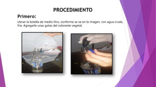 PROCEDIMIENTO
Primero:
Llenar la botella de medio litro, conforme se ve en la imagen, con agua cruda,
fría. Agregarle unas gotas del colorante vegetal.
 