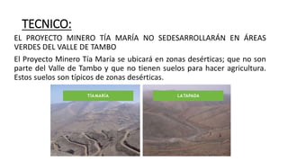 TECNICO:
EL PROYECTO MINERO TÍA MARÍA NO SEDESARROLLARÁN EN ÁREAS
VERDES DEL VALLE DE TAMBO
El Proyecto Minero Tía María se ubicará en zonas desérticas; que no son
parte del Valle de Tambo y que no tienen suelos para hacer agricultura.
Estos suelos son típicos de zonas desérticas.
TÍA MARÍA LATAPADA
 