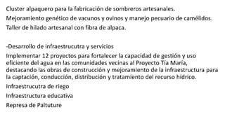 Cluster alpaquero para la fabricación de sombreros artesanales.
Mejoramiento genético de vacunos y ovinos y manejo pecuario de camélidos.
Taller de hilado artesanal con fibra de alpaca.
-Desarrollo de infraestrucutra y servicios
Implementar 12 proyectos para fortalecer la capacidad de gestión y uso
eficiente del agua en las comunidades vecinas al Proyecto Tía María,
destacando las obras de construcción y mejoramiento de la infraestructura para
la captación, conducción, distribución y tratamiento del recurso hídrico.
Infraestrucutra de riego
Infraestructura educativa
Represa de Paltuture
 