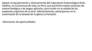 Apoyar el equipamiento y relanzamiento del Laboratorio Entomológico Deán
Valdivia, en la provincia de Islay, en Perú, que permitirá realizar procesos de
control biológico y de plagas agrícolas, para incidir en la calidad de los
productos orgánicos de la zona. Adicionalmente, participamos en la
culminación de la bóveda de la iglesia La Pampilla.
-Generacion de oportunidades
 