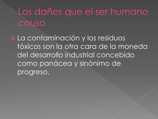  Lacontaminación y los residuos
 tóxicos son la otra cara de la moneda
 del desarrollo industrial concebido
 como panácea y sinónimo de
 progreso.
 