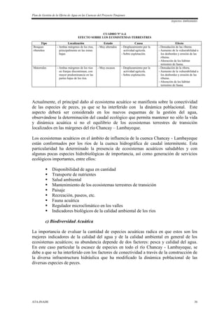 Plan de Gestión de la Oferta de Agua en las Cuencas del Proyecto Tinajones
Aspectos Ambientales
ATA-INADE 36
CUADRO N° iv.6
EFECTO SOBRE LOS ECOSISTEMAS TERRESTRES
Tipo Localización Estado Causa Efecto
Bosques
ribereños
- Ambas márgenes de los ríos,
principalmente en las zonas
bajas
- Muy alterados - Desplazamiento por la
actividad agrícola.
- Sobre explotación.
- Denudación de las riberas.
- Aumento de la vulnerabilidad a
los desbordes y erosión de las
riberas.
- Alteración de los hábitat
terrestres de fauna.
Matorrales - Ambas márgenes de los ríos
en franjas discontinuas, con
mayor predominancia en las
partes bajas de los ríos.
- Muy escasos - Desplazamiento por la
actividad agrícola.
- Sobre explotación.
- Denudación de la ribera.
- Aumento de la vulnerabilidad a
los desbordes y erosión de las
riberas.
- Alteración de los hábitat
terrestres de fauna.
Actualmente, el principal daño al ecosistema acuático se manifiesta sobre la conectividad
de las especies de peces, ya que se ha interferido con la dinámica poblacional. Este
aspecto deberá ser considerado en los nuevos esquemas de la gestión del agua,
observándose la determinación del caudal ecológico que permita mantener no sólo la vida
y dinámica acuática si no el equilibrio de los ecosistemas terrestres de transición
localizados en las márgenes del río Chancay – Lambayeque.
Los ecosistemas acuáticos en el ámbito de influencia de la cuenca Chancay - Lambayeque
están conformados por los ríos de la cuenca hidrográfica de caudal intermitente. Esta
particularidad ha determinado la presencia de ecosistemas acuáticos saludables y con
algunas pocas especies hidrobiológicas de importancia, así como generación de servicios
ecológicos importantes, entre ellos:
 Disponibilidad de agua en cantidad
 Transporte de nutrientes
 Salud ambiental
 Mantenimiento de los ecosistemas terrestres de transición
 Paisaje
 Recreación, paseos, etc.
 Fauna acuática
 Regulador microclimático en los valles
 Indicadores biológicos de la calidad ambiental de los ríos
c) Biodiversidad Acuática
La importancia de evaluar la cantidad de especies acuáticas radica en que estos son los
mejores indicadores de la calidad del agua y de la calidad ambiental en general de los
ecosistemas acuáticos; su abundancia depende de dos factores: pesca y calidad del agua.
En este caso particular la escasez de especies en todo el río Chancay - Lambayeque, se
debe a que se ha interferido con los factores de conectividad a través de la construcción de
la diversa infraestructura hidráulica que ha modificado la dinámica poblacional de las
diversas especies de peces.
 