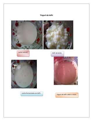 Yogurt de kéfir

Leche natural

Leche fermentada con kéfir.

Kéfir de leche

Yogurt de kéfir sabor a mora.

 