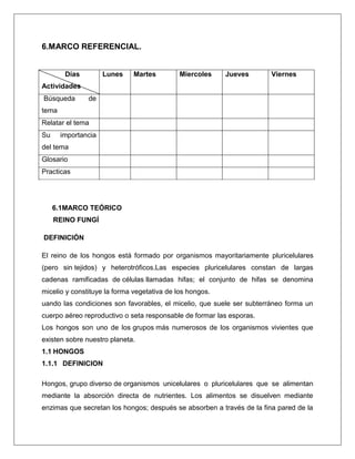 6.MARCO REFERENCIAL.

Días

Lunes

Martes

Miercoles

Jueves

Viernes

Actividades
Búsqueda

de

tema
Relatar el tema
Su

importancia

del tema
Glosario
Practicas

6.1MARCO TEÓRICO
REINO FUNGÍ
DEFINICIÓN
El reino de los hongos está formado por organismos mayoritariamente pluricelulares
(pero sin tejidos) y heterotróficos.Las especies pluricelulares constan de largas
cadenas ramificadas de células llamadas hifas; el conjunto de hifas se denomina
micelio y constituye la forma vegetativa de los hongos.
uando las condiciones son favorables, el micelio, que suele ser subterráneo forma un
cuerpo aéreo reproductivo o seta responsable de formar las esporas.
Los hongos son uno de los grupos más numerosos de los organismos vivientes que
existen sobre nuestro planeta.
1.1 HONGOS
1.1.1 DEFINICION
Hongos, grupo diverso de organismos unicelulares o pluricelulares que se alimentan
mediante la absorción directa de nutrientes. Los alimentos se disuelven mediante
enzimas que secretan los hongos; después se absorben a través de la fina pared de la

 