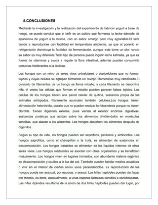 8.CONCLUSIONES
Mediante la investigación y la realización del experimento de fabricar yogurt a base de
hongo, se puede concluir que el kéfir es un cultivo que fermenta la leche dándole de
apariencia de yogurt a la misma, con un sabor amargo pero muy agradable.El kéfir
tiende a reproducirse con facilidad en temperatura ambiente, ya que al ponerlo en
refrigeración disminuye la facilidad de fermentación, aunque este tome un olor rancio
su sabor es muy diferente.Todo tipo de persona puede ingerir leche kefirada, ya que es
fuente de vitaminas y ayuda a regular la flora intestinal, además pueden consumirlo
personas intolerantes a la lactosa.
Los hongos son un reino de seres vivos unicelulares o pluricelulares que no forman
tejidos y cuyas células se agrupan formando un cuerpo filamentoso muy ramificado.El
conjunto de filamentos de un hongo se llama micelio, y cada filamento se denomina
hifa. A veces las células que forman el micelio pueden parecer falsos tejidos. Las
células de los hongos tienen una pared celular de quitina, sustancia propia de los
animales artrópodos. Raramente acumulan también celulosa.Los hongos tienen
alimentación heterótrofa, puesto que no pueden realizar la fotosíntesis porque no tienen
clorofila. Tienen digestión externa, pues vierten al exterior enzimas digestivas,
sustancias proteicas que actúan sobre los alimentos dividiéndolos en moléculas
sencillas, que atacan a los alimentos. Los hongos absorben los alimentos después de
digerirlos.
Según su tipo de vida, los hongos pueden ser saprofitos, parásitos y simbiontes. Los
hongos saprofitos, como el champiñón o la trufa, se alimentan de sustancias en
descomposición. Los hongos parásitos se alimentan de los líquidos internos de otros
seres vivos. Los hongos simbiontes se asocian con otros organismos y se benefician
mutuamente. Los hongos viven en lugares húmedos, con abundante materia orgánica
en descomposición y ocultos a la luz del sol. También pueden habitar medios acuáticos
o vivir en el interior de ciertos seres vivos parasitándolos. La reproducción de los
hongos puede ser asexual, por esporas, y sexual. Las hifas haploides pueden dar lugar
por mitosis, es decir, asexualmente, a unas esporas llamadas conidios o conidiosporas.
Las hifas diploides resultante de la unión de dos hifas haploides pueden dar lugar, por

 