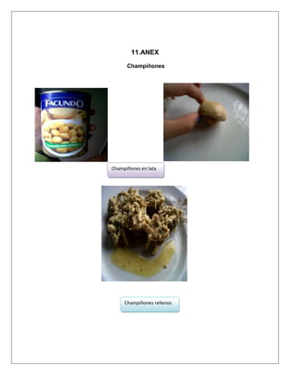11.ANEX
Champiñones

Champiñones en lata

Champiñones rellenos

 
