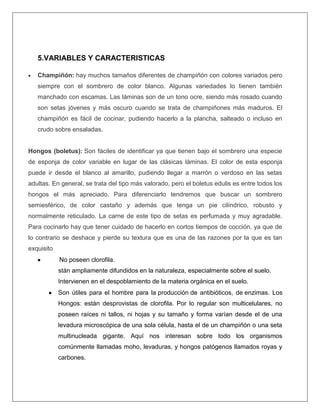 5.VARIABLES Y CARACTERISTICAS
Champiñón: hay muchos tamaños diferentes de champiñón con colores variados pero
siempre con el sombrero de color blanco. Algunas variedades lo tienen también
manchado con escamas. Las láminas son de un tono ocre, siendo más rosado cuando
son setas jóvenes y más oscuro cuando se trata de champiñones más maduros. El
champiñón es fácil de cocinar, pudiendo hacerlo a la plancha, salteado o incluso en
crudo sobre ensaladas.

Hongos (boletus): Son fáciles de identificar ya que tienen bajo el sombrero una especie
de esponja de color variable en lugar de las clásicas láminas. El color de esta esponja
puede ir desde el blanco al amarillo, pudiendo llegar a marrón o verdoso en las setas
adultas. En general, se trata del tipo más valorado, pero el boletus edulis es entre todos los
hongos el más apreciado. Para diferenciarlo tendremos que buscar un sombrero
semiesférico, de color castaño y además que tenga un pie cilíndrico, robusto y
normalmente reticulado. La carne de este tipo de setas es perfumada y muy agradable.
Para cocinarlo hay que tener cuidado de hacerlo en cortos tiempos de cocción, ya que de
lo contrario se deshace y pierde su textura que es una de las razones por la que es tan
exquisito
No poseen clorofila.
stán ampliamente difundidos en la naturaleza, especialmente sobre el suelo.
Intervienen en el despoblamiento de la materia orgánica en el suelo.
Son útiles para el hombre para la producción de antibióticos, de enzimas. Los
Hongos: están desprovistas de clorofila. Por lo regular son multicelulares, no
poseen raíces ni tallos, ni hojas y su tamaño y forma varían desde el de una
levadura microscópica de una sola célula, hasta el de un champiñón o una seta
multinucleada gigante. Aquí nos interesan sobre todo los organismos
comúnmente llamadas moho, levaduras, y hongos patógenos llamados royas y
carbones.

 