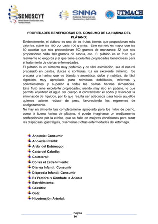 PROPIEDADES BENEFICIOSAS DEL CONSUMO DE LA HARINA DEL
PLÁTANO:
Evidentemente, el plátano es una de los frutos tiernos que proporcionan más
calorías, sobre las 100 por cada 100 gramos. Este número es mayor que las
60 calorías que nos proporcionan 100 gramos de manzanas; 22 que nos
proporcionan cada 100 gramos de sandía, etc. El plátano es un fruto que
realmente no engorda y el que tiene excelentes propiedades beneficiosas para
el tratamiento de ciertas enfermedades.
El plátano es un alimento muy poderoso y de fácil asimilación, sea al natural
preparado en pastas, dulces o confituras. Es un excelente alimento. Se
prepara una harina que es blanda y aromática, dulce y nutritiva, de fácil
digestión, muy apropiada para individuos debilitados, enfermos y
convalecientes y superior a todas las demás harinas alimenticias.
Este fruto tiene excelente propiedades; siendo muy rico en potasio, lo que
permite equilibrar el agua del cuerpo al contrarrestar el sodio y favorecer la
eliminación de líquidos, por lo que resulta ser adecuada para todos aquellos
quienes quieren reducir de peso, favoreciendo los regímenes de
adelgazamiento.
No hay un alimento tan completamente apropiado para los niños de pecho,
como la buena harina de plátano, ni puede imaginarse un medicamento
confeccionado por la clínica, que se halle en mejores condiciones para curar
las dispepsias, gastralgias, disenterías y otras enfermedades del estómago.

Anorexia: Consumir
Anorexia Infantil:
Ardor del Estómago:
Caída del Cabello:
Colesterol:
Contra el Estreñimiento:
Diarrea Infantil: Consumir
Dispepsia Infantil: Consumir
Es Pectoral y Combate la Anemia
Estreñimiento:
Gastritis:
Gota:
Hipertensión Arterial:

Página
16

 