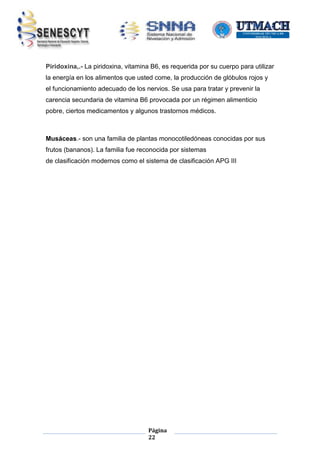 Piridoxina,.- La piridoxina, vitamina B6, es requerida por su cuerpo para utilizar
la energía en los alimentos que usted come, la producción de glóbulos rojos y
el funcionamiento adecuado de los nervios. Se usa para tratar y prevenir la
carencia secundaria de vitamina B6 provocada por un régimen alimenticio
pobre, ciertos medicamentos y algunos trastornos médicos.

Musáceas.- son una familia de plantas monocotiledóneas conocidas por sus
frutos (bananos). La familia fue reconocida por sistemas
de clasificación modernos como el sistema de clasificación APG III

Página
22

 