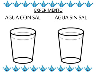 AGUA CON SAL AGUA SIN SAL
EXPERIMENTO
 