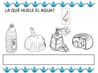 ¿A QUÉ HUELE EL AGUA?
 