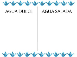 AGUA DULCE AGUA SALADA
 