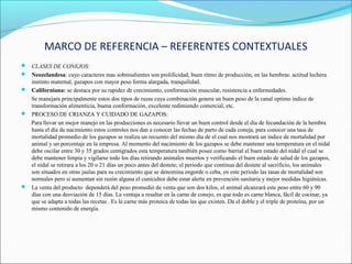MARCO DE REFERENCIA – REFERENTES CONTEXTUALES
 CLASES DE CONEJOS:
 Neozelandesa: cuyo caracteres mas sobresalientes son prolificidad, buen ritmo de producción, en las hembras: actitud lechera
  instinto maternal, gazapos con mayor peso forma alargada, tranquilidad.
 Californiana: se destaca por su rapidez de crecimiento, conformación muscular, resistencia a enfermedades.
  Se manejara principalmente estos dos tipos de razas cuya combinación genera un buen peso de la canal optimo índice de
  transformación alimenticia, buena conformación, excelente redimiendo comercial, etc.
 PROCESO DE CRIANZA Y CUIDADO DE GAZAPOS:
  Para llevar un mejor manejo en las producciones es necesario llevar un buen control desde el día de fecundación de la hembra
  hasta el día de nacimiento estos controles nos dan a conocer las fechas de parto de cada coneja, para conocer una tasa de
  mortalidad promedio de los gazapos se realiza un recuento del mismo día de el cual nos mostrará un índice de mortalidad por
  animal y un porcentaje en la empresa. Al momento del nacimiento de los gazapos se debe mantener una temperatura en el nidal
  debe oscilar entre 30 y 35 grados centígrados esta temperatura también posee como barrial el buen estado del nidal el cual se
  debe mantener limpia y vigilarse todo los días retirando animales muertos y verificando el buen estado de salud de los gazapos,
  el nidal se retirara a los 20 o 21 días un poco antes del destete; el periodo que continua del destete al sacrificio, los animales
  son situados en otras jaulas para su crecimiento que se denomina engorde o ceba, en este periodo las tasas de mortalidad son
  normales pero si aumentan sin razón alguna el cunicultor debe estar alerta en prevención sanitaria y mejor medidas higiénicas.
 La venta del producto dependerá del peso promedió de venta que son dos kilos, el animal alcanzará este peso entre 60 y 90
  días con una desviación de 15 días. La ventaja a resaltar en la carne de conejo, es que todo es carne blanca, fácil de cocinar, ya
  que se adapta a todas las recetas . Es la carne más proteica de todas las que existen. Da el doble y el triple de proteína, por un
  mismo contenido de energía.
 