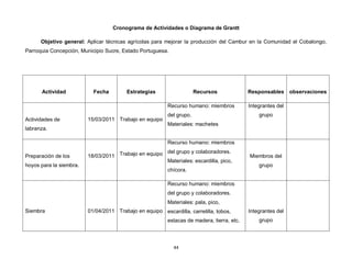 Cronograma de Actividades o Diagrama de Grantt

      Objetivo general: Aplicar técnicas agrícolas para mejorar la producción del Cambur en la Comunidad el Cobalongo,
Parroquia Concepción, Municipio Sucre, Estado Portuguesa.




      Actividad            Fecha         Estrategias                  Recursos             Responsables observaciones

                                                         Recurso humano: miembros          Integrantes del
                                                         del grupo.                            grupo
Actividades de           15/03/2011 Trabajo en equipo
                                                         Materiales: machetes
labranza.

                                                         Recurso humano: miembros
                                                      del grupo y colaboradores.
Preparación de los       18/03/2011 Trabajo en equipo                                      Miembros del
                                                      Materiales: escardilla, pico,
hoyos para la siembra.                                                                         grupo
                                                         chícora.

                                                         Recurso humano: miembros
                                                         del grupo y colaboradores.
                                                         Materiales: pala, pico,
Siembra                  01/04/2011 Trabajo en equipo escardilla, carretilla, tobos,       Integrantes del
                                                         estacas de madera, tierra, etc.       grupo




                                                            44
 