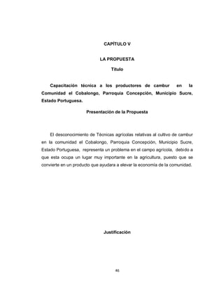 CAPÍTULO V


                            LA PROPUESTA

                                  Título


    Capacitación técnica a los productores de cambur              en     la
Comunidad el Cobalongo, Parroquia Concepción, Municipio Sucre,
Estado Portuguesa.

                      Presentación de la Propuesta




    El desconocimiento de Técnicas agrícolas relativas al cultivo de cambur
en la comunidad el Cobalongo, Parroquia Concepción, Municipio Sucre,
Estado Portuguesa, representa un problema en el campo agrícola, debido a
que esta ocupa un lugar muy importante en la agricultura, puesto que se
convierte en un producto que ayudara a elevar la economía de la comunidad.




                              Justificación




                                    46
 