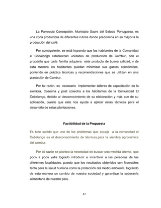 La Parroquia Concepción, Municipio Sucre del Estado Portuguesa, es
una zona productora de diferentes rubros donde predomina en su mayoría la
producción del café.

    Por consiguiente, se está logrando que los habitantes de la Comunidad
el Cobalongo establezcan unidades de producción de Cambur, con el
propósito que cada familia adquiera este producto de buena calidad, y de
esta manera los habitantes puedan minimizar sus gastos económicos,
poniendo en práctica técnicas y recomendaciones que se utilizan en una
plantación de Cambur.

    Por tal razón, es necesario implementar talleres de capacitación de la
siembra, Cosecha y post cosecha a los habitantes de la Comunidad El
Cobalongo, debido al desconocimiento de su elaboración y más aun de su
aplicación, puesto que esto nos ayuda a aplicar estas técnicas para el
desarrollo de estas plantaciones.




                        Factibilidad de la Propuesta

Es bien sabido que uno de los problemas que aqueja a la comunidad el
Cobalongo es el desconocimiento de técnicas.para la siembra agronómica
del cambur.

    Por tal razón se plantea la necesidad de buscar una medida alterna que
poco a poco valla logrado introducir e incentivar a las personas de las
diferentes localidades, puesto que los resultados obtenidos son favorables
tanto para la salud humana como la protección del medio ambiente, logrando
de esta manera un cambio de nuestra sociedad y garantizar la soberanía
alimentaria de nuestro país.



                                     47
 
