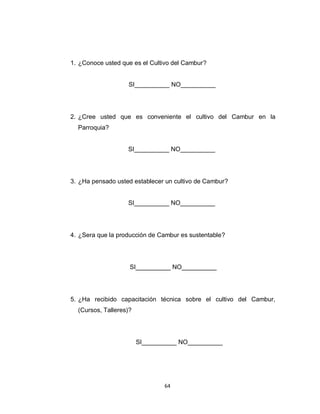 1. ¿Conoce usted que es el Cultivo del Cambur?


                   SI__________ NO__________




2. ¿Cree usted que es conveniente el cultivo del Cambur en la
  Parroquia?


                   SI__________ NO__________




3. ¿Ha pensado usted establecer un cultivo de Cambur?


                   SI__________ NO__________




4. ¿Sera que la producción de Cambur es sustentable?




                    SI__________ NO__________




5. ¿Ha recibido capacitación técnica sobre el cultivo del Cambur,
  (Cursos, Talleres)?




                        SI__________ NO__________




                                64
 