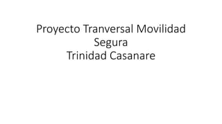 Proyecto Tranversal Movilidad
Segura
Trinidad Casanare
 
