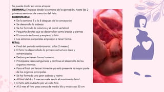 Se puede dividir en varias etapas:
GERMINAL: Empieza desde la semana de la gestación, hasta las 2
primeras semanas de creación del feto.
EMBRIONARIA:
De la semana 3 a la 8 despues de la concepción
Se desarrolla la cabeza
Se ha formado la columna y el canal vertebral
Pequeños brotes que se desarrollan como brazos y piernas
El corazón se forma y empieza a latir
Los sistemas corporales empiezan a tener forma.
FETAL:
Final del periodo embrionario ( a los 2 meses )
El feto ha desarrollado la primera estructura ósea y
extremidades
Dedos que tienen forma humana
Principales vasos sanguíneos y continua el desarrollo de los
órganos internos.
Para el final del tercer trimestre ya está presente la mayor parte
de los órganos principales
Se ha formado una gran cabeza y rostro
Al final del 4 o 5 mes se suele sentir el movimiento fetal
El feto está cubierto por un vello fino
Al 5 mes el feto pesa cerca de medio kilo y mide casi 30 cm
 