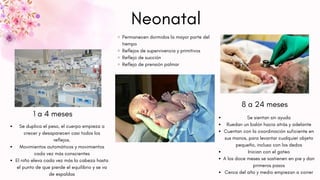 Neonatal
1 a 4 meses
8 a 24 meses
Permanecen dormidos la mayor parte del
tiempo
Reflejos de supervivencia y primitivos
Reflejo de succión
Reflejo de prensión palmar
Se sientan sin ayuda
Ruedan un balón hacia atrás y adelante
Cuentan con la coordinación suficiente en
sus manos, para levantar cualquier objeto
pequeño, incluso con los dedos
Inician con el gateo
A los doce meses se sostienen en pie y dan
primeros pasos
Cerca del año y medio empiezan a correr
Se duplica el peso, el cuerpo empieza a
crecer y desaparecen casi todos los
reflejos.
Movimientos automáticos y movimientos
cada vez más conscientes
El niño eleva cada vez más la cabeza hasta
el punto de que pierde el equilibrio y se va
de espaldas
 
