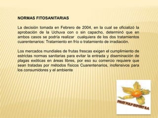 NORMAS FITOSANITARIAS La decisión tomada en Febrero de 2004, en la cual se oficializó la aprobación de la Uchuva con o sin capacho, determinó que en ambos casos se podría realizar  cualquiera de los dos tratamientos cuarentenarios: Tratamiento en frío o tratamiento de irradiación.Los mercados mundiales de frutas frescas exigen el cumplimiento de estrictas normas sanitarias para evitar la entrada y diseminación de plagas exóticas en áreas libres, por eso su comercio requiere que sean tratadas por métodos físicos Cuarentenarios, inofensivos para los consumidores y el ambienteFRUIT PULP EXPORT S.A