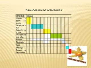 CRONOGRAMA DE ACTIVIDADESFRUIT PULP EXPORT S.A