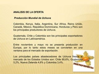 ANALISIS DE LA OFERTA Producción Mundial de Uchuva Colombia, Kenya, Italia, Argentina, Sur Africa, Reino Unido, Canadá, México, República Dominicana, Honduras y Perú son los principales productores de Uchuva.Guatemala, Chile y Colombia son los principales exportadores de Uchuva en Latinoamérica. Entre noviembre y mayo no se presenta producción en Europa, por lo tanto estos meses se convierten en una ventana para el mercado de exportación. Los principales países abastecedores de Uchuva fresca al mercado de los Estados Unidos son: Chile 85,6%, Guatemala 5,2%, Nueva Zelanda 4,6% y Colombia 3,4%. FRUIT PULP EXPORT S.A
