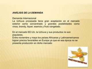 ANÁLISIS DE LA DEMANDADemanda Internacional La Uchuva procesada tiene gran aceptación en el mercado exterior como concentrado y grandes posibilidades como vinos, brandy, liquer, esencia y fruto congelado. En el mercado EE:UU. la Uchuva y sus productos no son populares. Entre noviembre y mayo los países Africanos y Latinoamericanos logran precios favorables en Europa ya que en esa época no se presenta producción en dicho mercadoFRUIT PULP EXPORT S.A