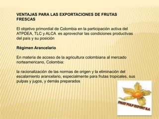 VENTAJAS PARA LAS EXPORTACIONES DE FRUTAS FRESCAS El objetivo primordial de Colombia en la participación activa del ATPDEA, TLC y ALCA  es aprovechar las condiciones productivas del país y su posición Régimen Arancelario En materia de acceso de la agricultura colombiana al mercado norteamericano, Colombia: la racionalización de las normas de origen y la eliminación del escalamiento arancelario, especialmente para frutas tropicales, sus pulpas y jugos, y demás preparadosFRUIT PULP EXPORT S.A