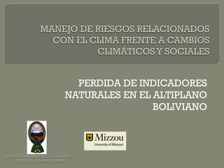 PERDIDA DE INDICADORES
NATURALES EN EL ALTIPLANO
                BOLIVIANO
 