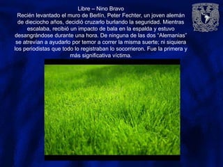 Libre – Nino Bravo
Recién levantado el muro de Berlín, Peter Fechter, un joven alemán
de dieciocho años, decidió cruzarlo burlando la seguridad. Mientras
escalaba, recibió un impacto de bala en la espalda y estuvo
desangrándose durante una hora. De ninguna de las dos “Alemanias”
se atrevían a ayudarlo por temor a correr la misma suerte; ni siquiera
los periodistas que todo lo registraban lo socorrieron. Fue la primera y
más significativa víctima.
 