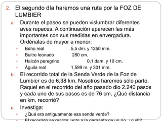 2. El segundo día haremos una ruta por la FOZ DE
LUMBIER
a. Durante el paseo se pueden vislumbrar diferentes
aves rapaces....