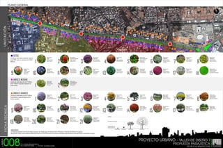 PLANO GENERAL
10

12

12

10

2

10

2
6

2

10

12

10

7

2

11
2
15

10

12

21
6

2
15

21

2

7

2

10
10

15

21
14

15

2
15

14

2

15

21

14

15

UNICACIÓN

10

21

2

6
17

17

2
1

14
15

14

11

2

15
21

10

14
14

15

1

21

15

10

10

15

14

15

2

2

14

10

21

10
2

1

2
1

14
10

15

2

1

SECTOR N°1

10

17
11

21

6
17

21

14
10

15

2

2

15
10

10

11
1

14

2

10

17

2

17

1

2

17

1

10
1

2
2

SECTOR N°2

17

21

14

15

14
10

15

21

3

15

10

17
1

2

20

10

12

17

2

2

2

10

2

2

1

2

20

20

12
2

10
1

1

3

12

2

10

20

3

2

2
17

10
1

SECTOR N°3

2

12

10
2

10

2

6

20
14

2
1

17

21

6
2

11

10

2

1

10

SECTOR N°4

11

2

6

12

10

SETOS
Las alturas varian desde vegetacion rastrera
nivel +0,00, setos y/o arbustos entre 0,50 a
0,80 mts

9

Nombre Común:
BROMELIA
Nombre Científico:
Mezobromelia
Capituligera

1
10

Nombre Común:
GINGER
Nombre Científico:
Alpina Purpurea

Nombre Común:
AGAPANTO
Nombre Científico:
Agapanthus Africanus

2
11

Nombre Común:
BASTON DEL EMPERADOR.
Nombre Científico:
Etlingera Elatior

Nombre Común:
LANTANA RASTRERA
Nombre Científico:
Lantana Sellowiana

3
12

Nombre Común:
TRINITARIAS
Nombre Cientifico:
Bougainvillea Thimma

Nombre Común:
CINTA
Nombre Científico:
Chlorophytum
Comosun V

4
13

Nombre Común:
IXORA
Nombre Científico:
IXORA NORA GRANT

Nombre Común:
PALMA ARECA.
Nombre Cientifico:
Dypsis Lutescens

5
14

Nombre Común:
CAPA ROJA BRASILEÑA
Nombre Científico:
Magakepasma
Erythrochamys

Nombre Común:
YUCA GIGANTE
Nombre Científico:
Yuca Elephantipes

6
15

Nombre Común:
JAZMIN AZUL
Nombre Científico:
Plumbago Auriculata
Azul Oscuro

Nombre Común:
TE ROJO.
Nombre Científico:
Aspalathus Linearis

7
17

Nombre Común:
DURANTA
Nombre Científico:
Duranta Golden.

Nombre Común:
PAPIRUS.
Nombre Científico:
Cyperus Papyrus

8
18

Nombre Común:
GARBANCILLO
Nombre Científico:
Colutea Arborescens .

Nombre Común:
GRAMA SAN AGUSTIN
Nombre Científico:
Stenotaphrum Secundatum

ARBOLES MEDIANO
Las alturas varían desde de nivel +2,00mts
hasta +4,00mts originando Vegetación de
media sombra.

1

Nombre Común:
PALMA ENANA
Nombre Científico:
Sin espinas

2

Nombre Común:
CHAGUARAMO ENANO
Nombre Científico:
Vitchia Merilliir

ARBOLES GRANDES

FICHA TECNICA

Las alturas varían desde de nivel +4,00mts
hasta adelante originando Vegetación de
sombra completa.

9
19

Nombre Común:
CUJI DE JARDIN
Nombre Científico:
Calliandra Schultzei H

10
20

Nombre Común:
ALGARROBO
Nombre Científico:
Hymenaea Courbaril L

Nombre Común:
NARANJILLO
Nombre Científico:
Bravaisia Integervima

2
11
21

Nombre Común:
NIM
Nombre Científico:
Azadirachta Indica A. Juss

Nombre Común:
FLOR DE LA REINA
Nombre Científico:
Lagestroemia Indica

Nombre Común:
CEPILLO
Nombre Científico:
Calistemon Speciosus DC

3
12
21

Nombre Común:
APAMATE
Nombre Científico:
Tabebuia Rosea

Nombre Común:
ARAGUANEY
Nombre Científico:
Tabebuia Chrysantha

4
13

Nombre Común:
CEREIPO
Nombre Científico:
Myrospermum Frutescens

Nombre Común:
VERA
Nombre Científico:
Bulnesia Arborea

5
14

Nombre Común:
JABILLO
Nombre Científico:
Hura Crepitans DC

Nombre Común:
ACACIA FLAMBOYAN
Nombre Científico:
Delonix regia

6
15

Nombre Común:
CHAGUARAMO
Nombre Científico:
Roystonea - Devaceae

Nombre Común:
BUCARE
Nombre Cientifico:
Erytrina Spp

7
17

Nombre Común:
ESPINILLO
Nombre Científico:
Parkinsonia Aculeata L

Nombre Común:
MERECURE
Nombre Científico:
Licania Pyrifolia Griseb

8
18

Nombre Común:
TULIPAN AFRICANO
Nombre Científico:
Spathodea Campanulata .

Nombre Común:
SIEMPRE VERDE
Nombre Científico:
Ficus spp

Nombre Común:
SEMERUCO
Nombre Científico:
Malpiighia Glabral

GENERALIDADES
La Propuesta paisajistica en el tipo de arboles a proponer esta basada segun la Ordenanza sobre la Plantacion y Proteccion de Arboles en la Ciudad de
Barquisimeto y demas centros poblados del Municipio Iribarren con el fin de fortalecer la conciencia e identidad regional dandole un valor pátrimonial y de identidad a la ciudad.

008

LÁMINA

Nombre Común:
URAPES
Nombre Científico:
Bauhinia spp

1

Nombre Común:
GUARUPA
Nombre Científico:
Jacaranda Obtusifolia Var R

PROYECTO URBANO - TALLER DE DISEÑO 7
T.S.U CESAR MEDINA RUIZ
T.S.U YORYVICT DIAZ

PROPUESTA PAISAJISTICA
TUTOR: Arq.Zhedily Guedez

ESCUELA DE ARQUITECTURA

INSTITUTO UNIVERSITARIO POLITÉCNICO

SANTIAGO MARIÑO
EXTENSIÓN BARINAS

 