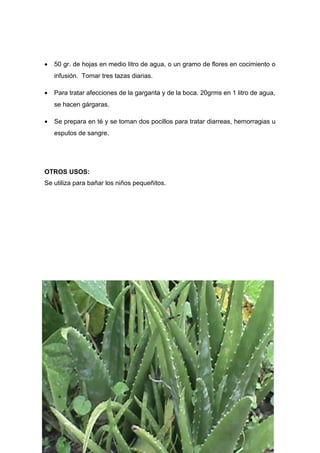 •    50 gr. de hojas en medio litro de agua, o un gramo de flores en cocimiento o
     infusión. Tomar tres tazas diarias.

•    Para tratar afecciones de la garganta y de la boca. 20grms en 1 litro de agua,
     se hacen gárgaras.

•    Se prepara en té y se toman dos pocillos para tratar diarreas, hemorragias u
     esputos de sangre.




OTROS USOS:
Se utiliza para bañar los niños pequeñitos.




26
 