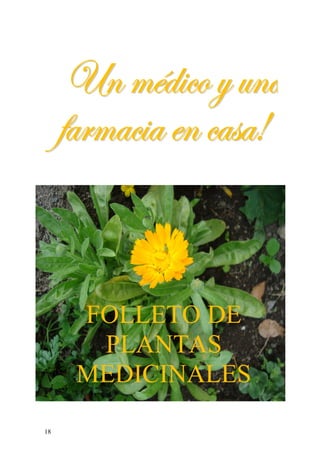 FOLLETO DE
      PLANTAS
     MEDICINALES
18
 