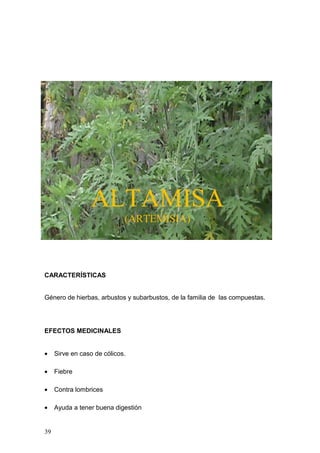 ALTAMISA
                             (ARTEMISIA)




CARACTERÍSTICAS


Género de hierbas, arbustos y subarbustos, de la familia de las compuestas.




EFECTOS MEDICINALES


•    Sirve en caso de cólicos.

•    Fiebre

•    Contra lombrices

•    Ayuda a tener buena digestión


39
 