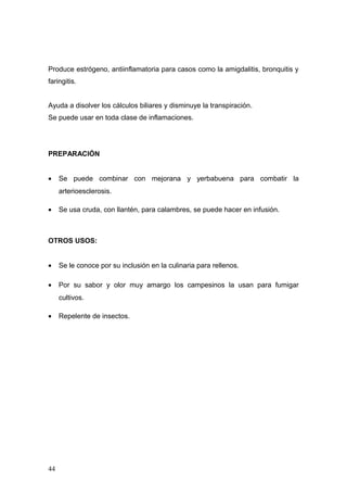 Produce estrógeno, antiinflamatoria para casos como la amigdalitis, bronquitis y
faringitis.


Ayuda a disolver los cálculos biliares y disminuye la transpiración.
Se puede usar en toda clase de inflamaciones.




PREPARACIÓN


•    Se puede combinar con mejorana y yerbabuena para combatir la
     arterioesclerosis.

•    Se usa cruda, con llantén, para calambres, se puede hacer en infusión.



OTROS USOS:


•    Se le conoce por su inclusión en la culinaria para rellenos.

•    Por su sabor y olor muy amargo los campesinos la usan para fumigar
     cultivos.

•    Repelente de insectos.




44
 