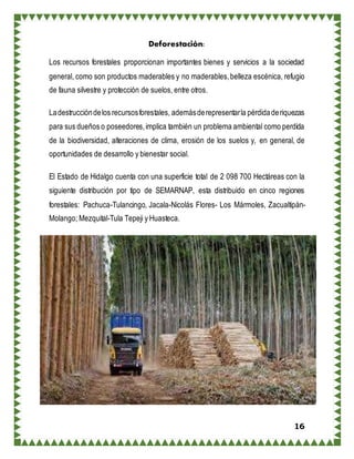 16
Deforestación:
Los recursos forestales proporcionan importantes bienes y servicios a la sociedad
general, como son productos maderables y no maderables,belleza escénica, refugio
de fauna silvestre y protección de suelos, entre otros.
Ladestruccióndelos recursosforestales, ademásderepresentarla pérdidaderiquezas
para sus dueños o poseedores,implica también un problema ambiental como perdida
de la biodiversidad, alteraciones de clima, erosión de los suelos y, en general, de
oportunidades de desarrollo y bienestar social.
El Estado de Hidalgo cuenta con una superficie total de 2 098 700 Hectáreas con la
siguiente distribución por tipo de SEMARNAP, esta distribuido en cinco regiones
forestales: Pachuca-Tulancingo, Jacala-Nicolás Flores- Los Mármoles, Zacualtipàn-
Molango; Mezquital-Tula Tepeji y Huasteca.
 