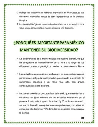 25
 Proteger las colecciones de referencia depositadas en los museos, ya que
constituyen invalorables bancos de datos representativos de la diversidad
biológica.
 La diversidad biológica se conservará en la medida que la sociedad conozca,
valore y sepa aprovecharla de manera inteligente y no destructiva.
¿PORQUÉES IMPORTANTEPARAMÉXICO
MANTENER SU BIODIVERSIDAD?
 La biodiversidad es la mayor riqueza de nuestro planeta, ya que
ha asegurado el mantenimiento de la vida a lo largo de los
diferentes procesos geológicos que han acontecido en la Tierra.
 Las actividades que realiza elserhumano enlos ecosistemas está
poniendo en peligro la biodiversidad, provocando la extinción de
numerosas especies a un ritmo muy alto, con graves
consecuencias en la biosfera.
 México es uno de los pocospaísesdelmundo que en su territorio
concentra un gran número de las especies existentes en el
planeta. A este selecto grupo de entre 12 y20 naciones delmundo
se les ha llamado coloquialmente megadiversos y en ellos se
encuentra alrededordel70% de todas las especies conocidas por
la ciencia.
 