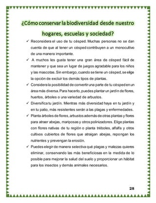 28
¿Cómo conservar la biodiversidad desde nuestro
hogares, escuelas y sociedad?
 Reconsidera el uso de tu césped. Muchas personas no se dan
cuenta de que al tener un césped contribuyen a un monocultivo
de una manera importante.
 A muchos les gusta tener una gran área de césped fácil de
mantener y que sea un lugar de juegos agradable para los niños
y las mascotas.Sin embargo,cuando se tiene un césped,se elige
la opción de excluir los demás tipos de plantas.
 Considerala posibilidad de convertiruna parte de tu céspedenun
área más diversa.Para hacerlo,puedes plantarun jardín de flores,
huertos, árboles o una variedad de arbustos.
 Diversifica tu jardín. Mientras más diversidad haya en tu jardín y
en tu patio, más resistentes serán a las plagas y enfermedades.
 Planta árboles de flores,arbustosademás de otras plantas y flores
para atraer abejas, mariposas y otros polinizadores. Elige plantas
con flores nativas de tu región o planta tréboles, alfalfa y otros
cultivos cubiertos de flores que atraigan abejas, repongan los
nutrientes y prevengan la erosión.
 Puedes elegir de manera selectiva qué plagas y malezas quieres
eliminar, conservando las más beneficiosas en la medida de lo
posible para mejorar la salud del suelo y proporcionar un hábitat
para los insectos y demás animales necesarios.
 