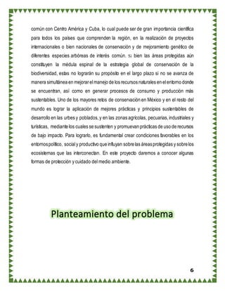 6
común con Centro América y Cuba, lo cual puede ser de gran importancia científica
para todos los países que comprenden la región, en la realización de proyectos
internacionales o bien nacionales de conservación y de mejoramiento genético de
diferentes especies arbóreas de interés común. Si bien las áreas protegidas aún
constituyen la médula espinal de la estrategia global de conservación de la
biodiversidad, estas no lograrán su propósito en el largo plazo si no se avanza de
manera simultánea en mejorarelmanejo de los recursos naturales en elentorno donde
se encuentran, así como en generar procesos de consumo y producción más
sustentables. Uno de los mayores retos de conservación en México y en el resto del
mundo es lograr la aplicación de mejores prácticas y principios sustentables de
desarrollo en las urbes y poblados,y en las zonas agrícolas, pecuarias,industriales y
turísticas, mediante los cuales se sustenten y promuevan prácticas de uso de recursos
de bajo impacto. Para lograrlo, es fundamental crear condiciones favorables en los
entornospolítico, socialy productivo que influyan sobrelas áreasprotegidas y sobrelos
ecosistemas que las interconectan. En este proyecto daremos a conocer algunas
formas de protección y cuidado del medio ambiente.
Planteamiento del problema
 
