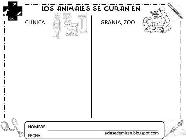 Proyecto veterinarios
