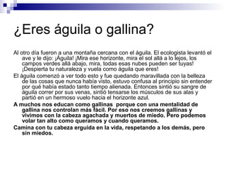 ¿Eres águila o gallina?
Al otro día fueron a una montaña cercana con el águila. El ecologista levantó el
ave y le dijo: ¡Águila! ¡Mira ese horizonte, mira el sol allá a lo lejos, los
campos verdes allá abajo, mira, todas esas nubes pueden ser tuyas!
¡Despierta tu naturaleza y vuela como águila que eres!
El águila comenzó a ver todo esto y fue quedando maravillada con la belleza
de las cosas que nunca había visto, estuvo confusa al principio sin entender
por qué había estado tanto tiempo alienada. Entonces sintió su sangre de
águila correr por sus venas, sintió tensarse los músculos de sus alas y
partió en un hermoso vuelo hacia el horizonte azul.
A muchos nos educan como gallinas porque con una mentalidad de
gallina nos controlan más fácil. Por eso nos creemos gallinas y
vivimos con la cabeza agachada y muertos de miedo. Pero podemos
volar tan alto como queramos y cuando queramos.
Camina con tu cabeza erguida en la vida, respetando a los demás, pero
sin miedos.
 