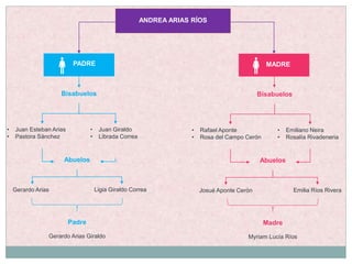 ANDREA ARIAS RÍOS
PADRE MADRE
Bisabuelos
• Juan Esteban Arias
• Pastora Sánchez
• Juan Giraldo
• Librada Correa
Abuelos
Gerardo Arias Ligia Giraldo Correa
Padre
Gerardo Arias Giraldo
Bisabuelos
• Rafael Aponte
• Rosa del Campo Cerón
• Emiliano Neira
• Rosalía Rivadeneria
Abuelos
Josué Aponte Cerón Emilia Ríos Rivera
Madre
Myriam Lucía Ríos
 