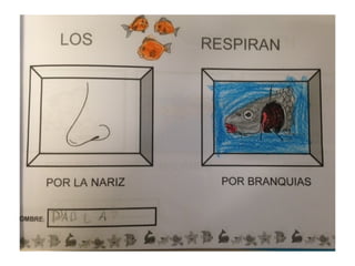 Proyecto vida en el mar nivel 4 años EI
